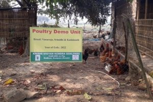 Poultry Demonstration Unit