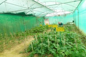 Protected Cultivation Unit